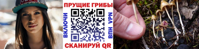 Галлюциногенные грибы MAGIC MUSHROOMS  OMG вход  Первоуральск 